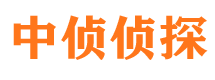 临潭市婚外情调查